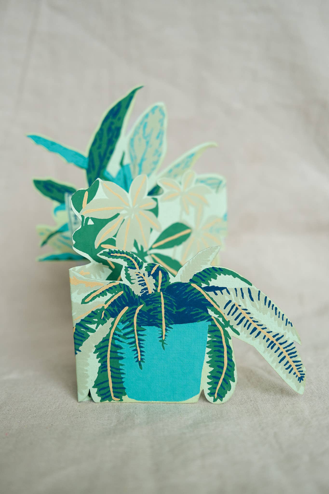 Plant Pot Concertina Greeting Card